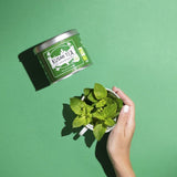 Spearmint Green Tea Organic