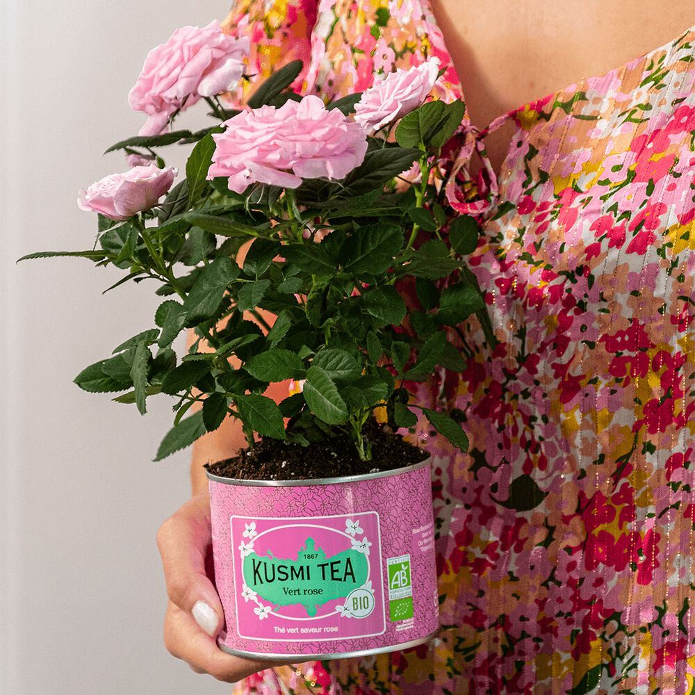 Green Rose Organic
